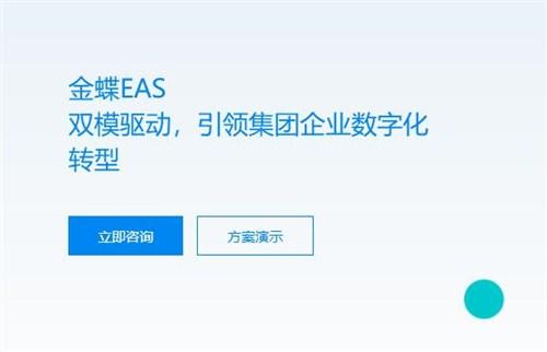 虹口区专用 财务软件 品质售后无忧 欢迎咨询「上海奔逐信息科技供应